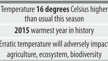 warmer winter.jpg