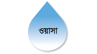 wasa_2.png