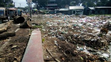 waste disposal.jpg