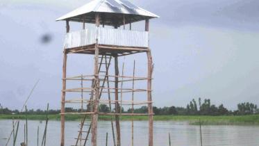 watchtower.jpg