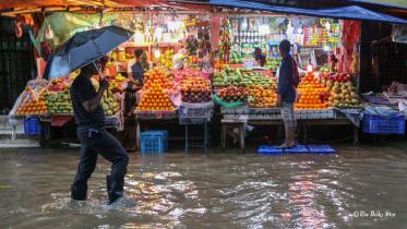 Water-logging-(1).jpg