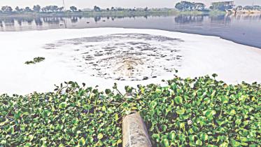 Water pollution