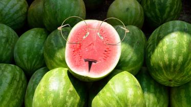 watermelon.jpg