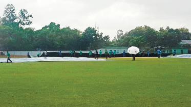wet ground rain.jpg