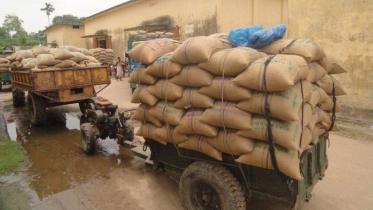 wheat-producer.jpg
