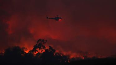 wildfire-.jpg