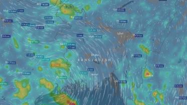 windy-rain.JPG