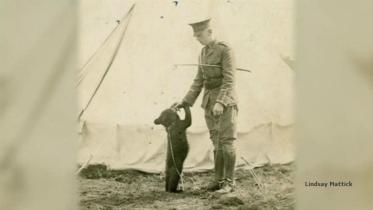 Winnie-the-Pooh-bbc-wb.jpg