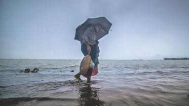 Wonders of The Rain