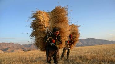 world-food.jpg-NS.jpg