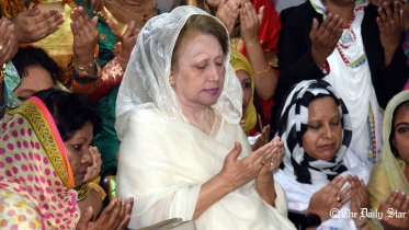 zia.jpg