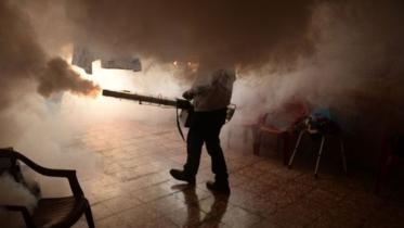 Zika-1-web.jpg