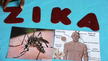 Zika virus, campaign to prevent Zika virus