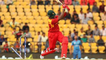 ZIM-BAT77.jpg-NS.jpg