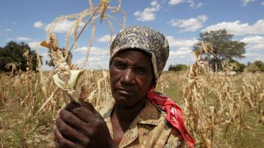 Zimbabwe-1WB.jpg