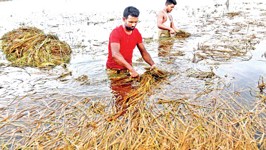 sylhet.jpg