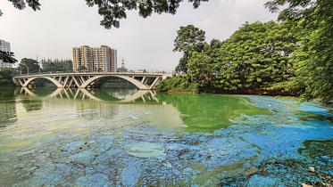 Hatirjheel lake
