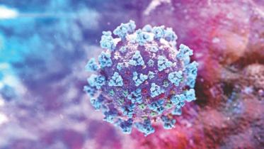 coronavirus_20_1.jpg