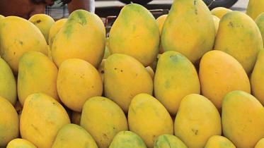 mango prices 