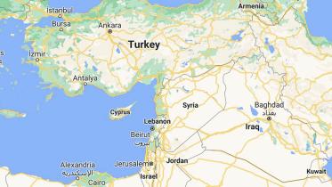 turkey-web.jpg