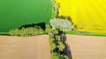 global-food-system.jpg
