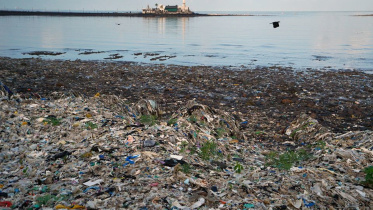 garbage.jpg