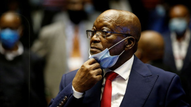 zuma.jpg