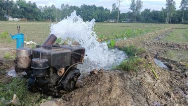 lalmonirhat_kurigram_agriculture-01.jpg
