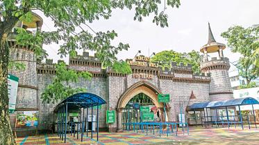amusement-park.jpg