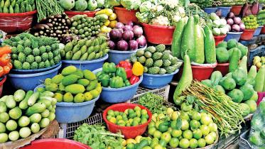 vegetable.jpg