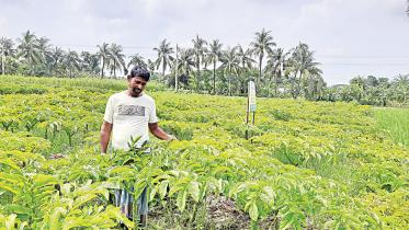 dumuria-upazila-of-khulna.jpg