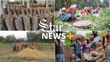 star-news-thumbnail-web.jpg