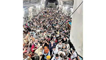 600-afghans.jpg