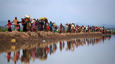 plight-of-rohingya.jpg