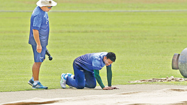cricket.jpg