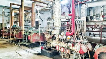 shrimp-processing-factory.jpg