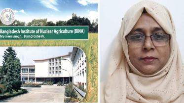 bina-web.jpg