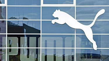 puma.jpg