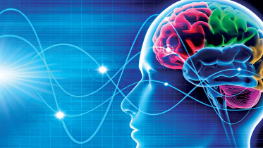 brain-magnetic-stimulation.jpg