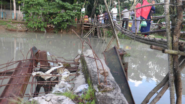 bambo-bridge.jpg