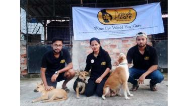 welfare-of-strays.jpg