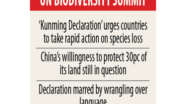 government-decision-.jpg