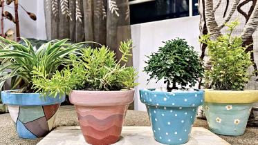 plants1.jpg