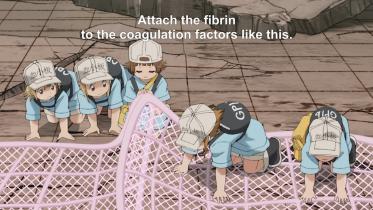 cells_at_work.jpg