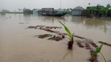 untimely-teesta-flood.jpg