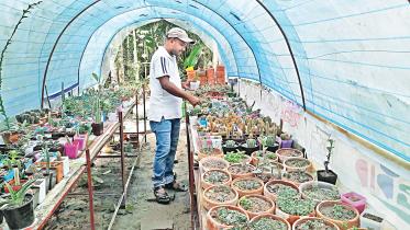altaf-hossain.jpg