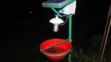 insect-trap.jpg