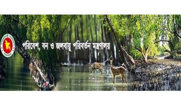 wildlife_web.jpg