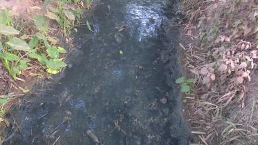 toxic-water.jpg