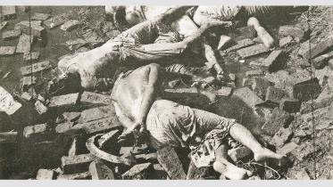 martyred-intelactual-day.jpg